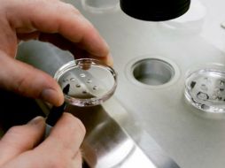 Se alega que la prohibición constituyó una violación del derecho a la igualdad de las víctimas. ESPECIAL  /