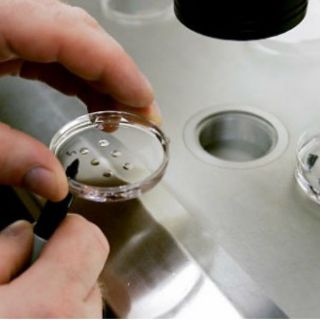 Mantendrá Costa Rica postura sobre Fecundación In Vitro