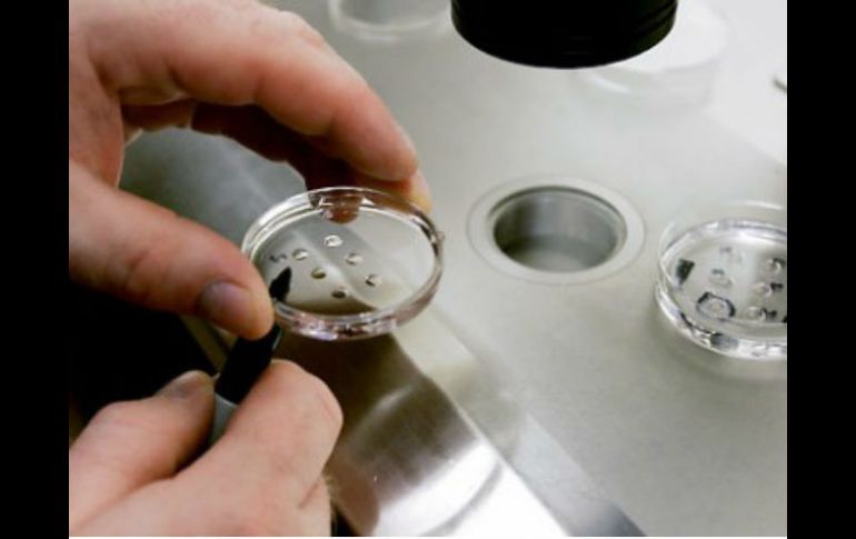 Se alega que la prohibición constituyó una violación del derecho a la igualdad de las víctimas. ESPECIAL  /