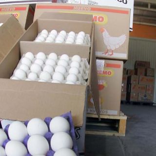 Critican propuesta de SE sobre aranceles por huevo