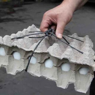 Economía y ANTAD acuerdan bajar precio del huevo