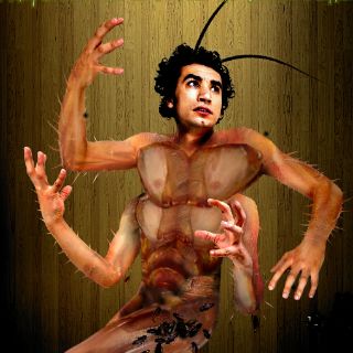 Analiza ''Metamorfosis'' a la especie humana