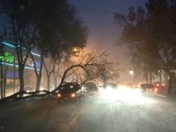 En López Mateos se cayó un árbol sobre una camioneta. Twitter@LuisVillalpando  /