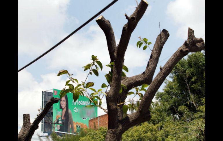 El ex presidente de esa comisión, Enrique Aubry, presentó un acuerdo en el que exige el castigo a los responsables.  /