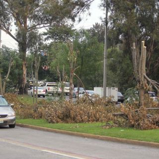 Adeudos de espectaculares es causal de retiro de estructuras: sindicatura