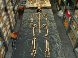 Fotografía cedida por el Instituto Nacional de Antropología e Historia (INAH)  con la osamenta encontrada. EFE  /