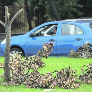 Guadalajara podría retirar estructuras de espectaculares por adeudos