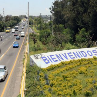 Van contra ignorancia de funcionarios en tala de árboles