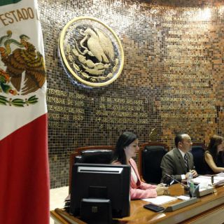 Congreso aprueba que ayuntamiento ratifique denuncia por tala de árboles