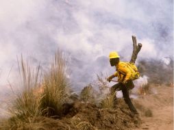 El pasado mes de abril, un incendio ocasionó graves daños en el Bosque de La Primavera  /