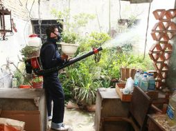 Las autoridades sanitarias exhortan a la comunidad que participen en los operativos. ARCHIVO  /