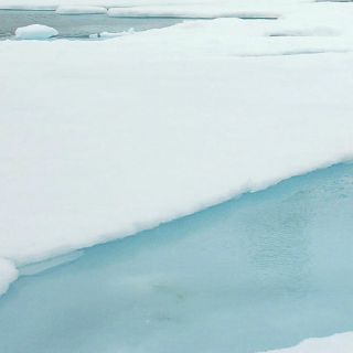 La reducción de la superficie de hielo del Ártico batió récords en 2012