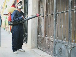 Personal de Salud inició las labores de fumigación para combatir al mosco transmisor del dengue en San Pedro Tlaquepaque.  /