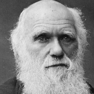 Tataranieto de Darwin inaugurará en Alemania nuevo museo de la evolución