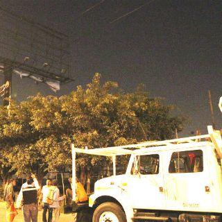 Acciones tras tala, para que entiendan que hay gobierno: Ayón