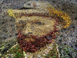 Creación del artista brasileño Vik Muniz, con base a la obra del pintor Vicent van Gogh. ARCHIVO  /