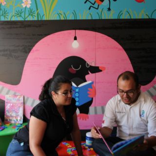 Guía pingo 29 de agosto