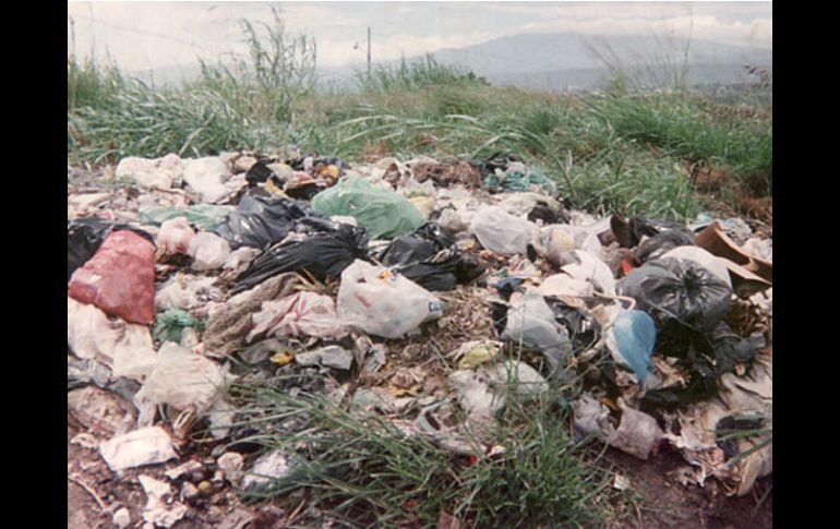 El sistema identifica las enzimas y microorganismos capaces de destruir contaminantes. ESPECIAL  /