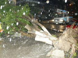 En algunos puntos de la ciudad se registró la caída de granizo y el agua alcanzó los 30 centímetros de altura. ARCHIVO  /
