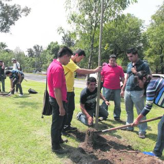 Plantan otros 140 árboles en la Calzada Lázaro Cárdenas