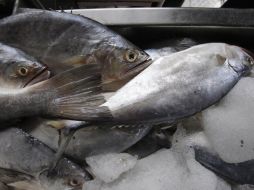 El pescado, las espinacas, berro y una amplia variedad de alimentos contienen yodo. ARCHIVO  /