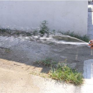 Fundéu BBVA: ''malgasto'' es una palabra válida