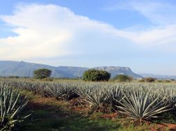 Nueve ponencias darán pie para la divulgación científica del patrimonio. ARCHIVO  /