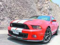 Una cobra. Este coche tiene un manejo brutal. Rápido y eficaz como la Cobra que lleva al frente.  /
