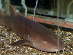 La embarcación había zarpado el 25 de agosto del puerto de Manta. ARCHIVO  /