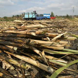 Entrará en vigor TLC único de México-Centroamérica