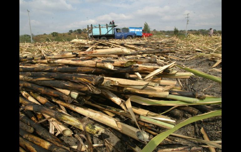 En el caso de El Salvador, se logró un acceso de un 8.0 por ciento de la cuota de azúcar que México fija cada año. ARCHIVO  /