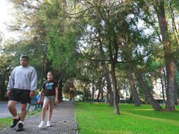 En ciudades donde la superficie de áreas verdes disponibles para los ciudadanos es amplia las ubica con valores más altos en el mundo.  /