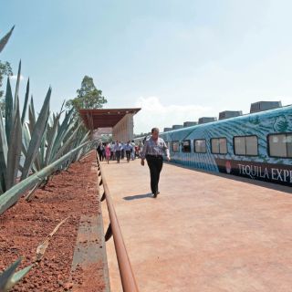 Tequila Herradura ampliará espacios al turismo