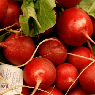 Alimentos ecológicos no son más nutritivos, dice estudio