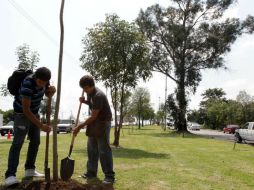 Según la OMS al municipio le hacen falta más de 11 millones de metros cuadrados de área verde. ARCHIVO  /