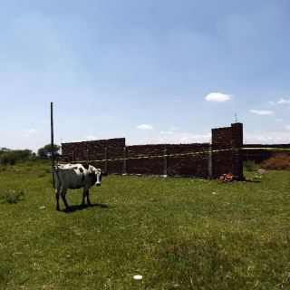 Indefinición en terrenos de El Ahogado impide acción de la CEA