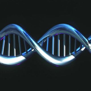 Crean visión enciclopédica del ADN