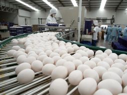 Al momento, sólo ha entrado al país huevo importado de Estados Unidos, tanto líquido para el consumo industrial. ARCHIVO  /