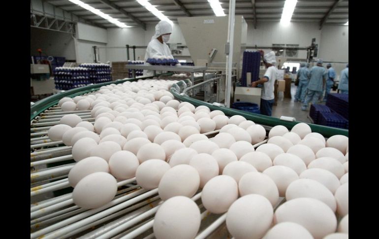 Al momento, sólo ha entrado al país huevo importado de Estados Unidos, tanto líquido para el consumo industrial. ARCHIVO  /