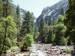 Personas pudieron estar expuestas al pasar más de una noche en una zona de acampada del parque en el verano. AFP  /