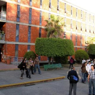 UdeG Libre vigilará elecciones del Consejo General Universitario