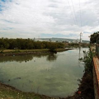 La CEA analiza convenio de cesión de derechos en 'El Ahogado'