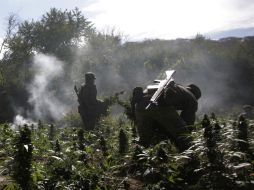 La delegación estatal de la PGR reveló que es producto de aseguramientos realizados en Matamoros. ARCHIVO  /