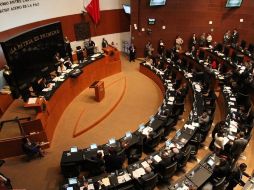 La senadora perredista Iris Mendoza propone crear una comisión especial que analice el Acuerdo Comercial Anti-falsificaciones. ARCHIVO  /