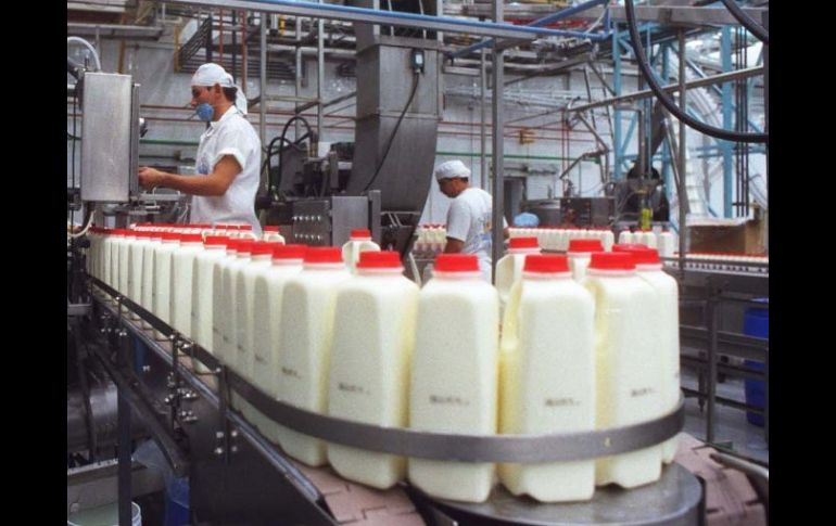 alisco aporta 17% de la producción lechera del país, lo que lo convierte en el Estado líder en este alimento. ARCHIVO  /