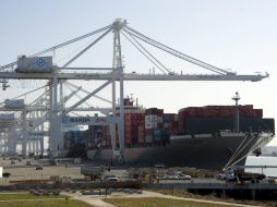 Los grupos ecologistas han dado la bienvenida a la decisión tomada por el Parlamento Europeo. ARCHIVO  /