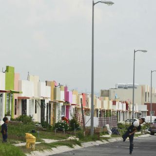 Los Silos, sin denuncias en la Prodeur