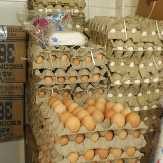 Pese a importación, el huevo mantiene altos precios