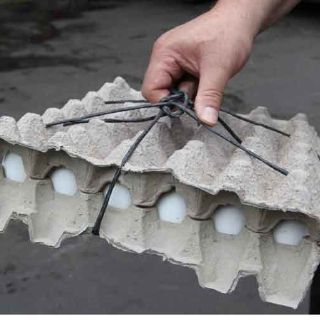 Un día de huevo barato, la solución de Seproe ante desabasto