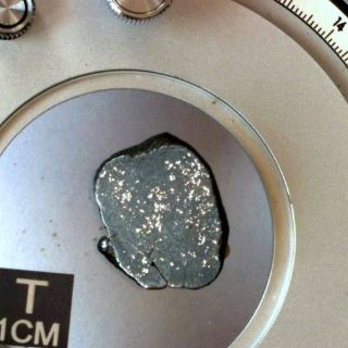 Raro meteorito ''no alterado'' encontrado en arenas del Sahara